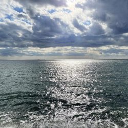 いつもより良型良好!今日もキス釣り!